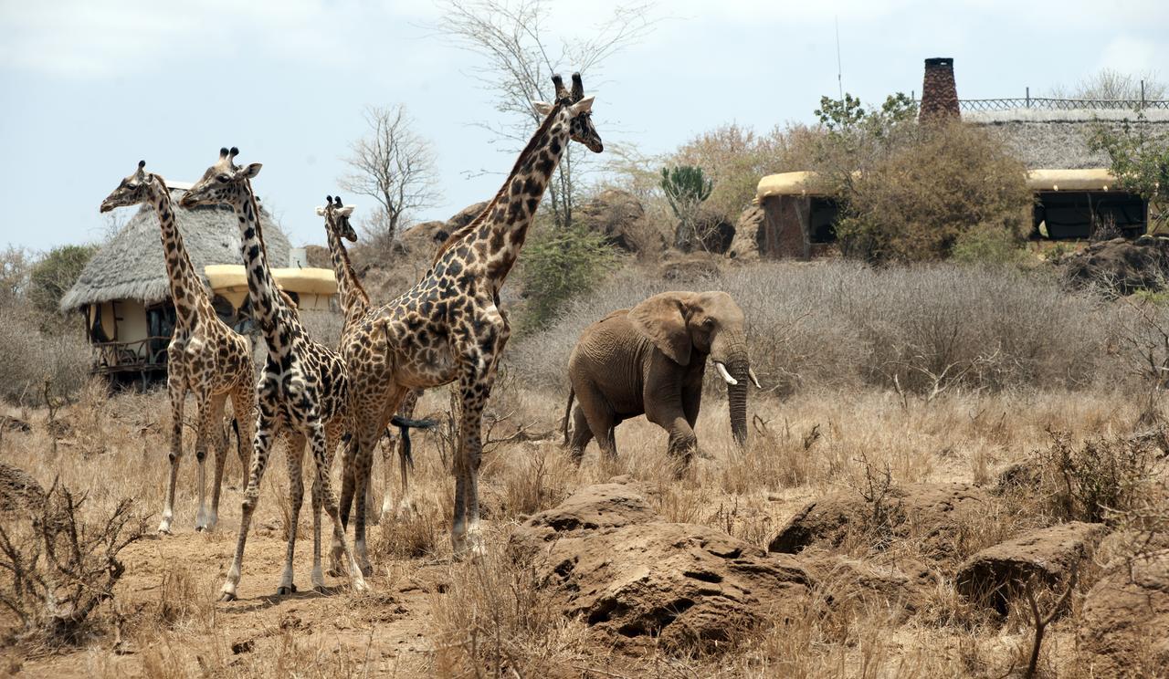 Elerai Camp Otel Amboseli Dış mekan fotoğraf
