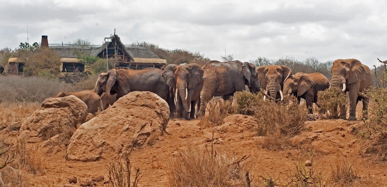 Elerai Camp Otel Amboseli Dış mekan fotoğraf